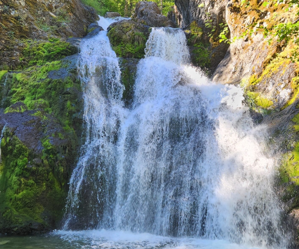 Close to Shasta, CA