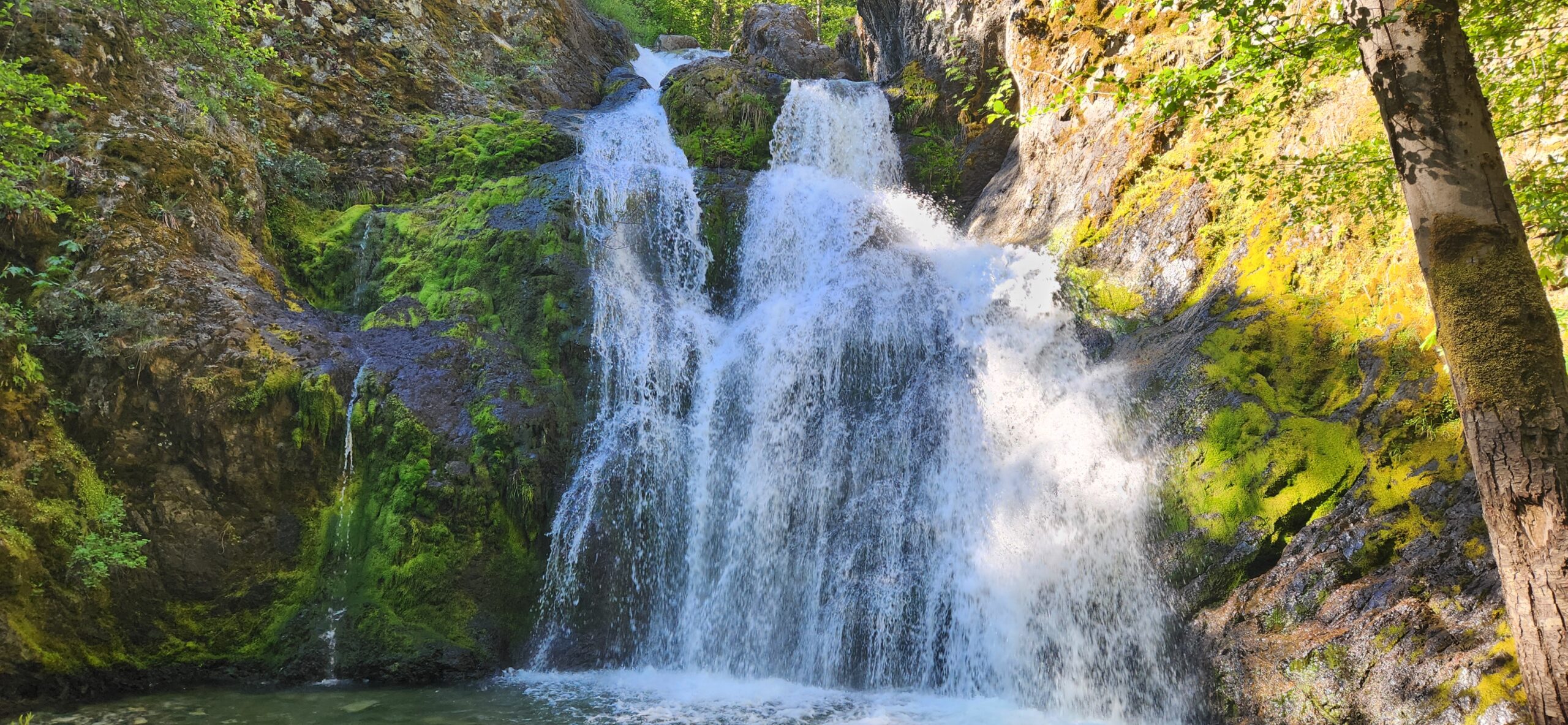 Close to Shasta, CA